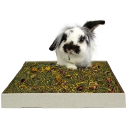 JR Farm Urteeng med Blomster