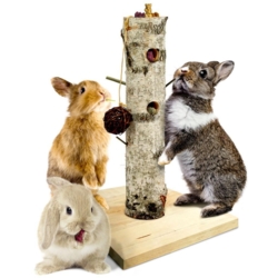 JR Farm Aktivitetstræ til Kaniner